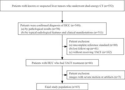 Survival prediction of hepatocellular carcinoma by measuring the extracellular volume fraction with single-phase contrast-enhanced dual-energy CT imaging